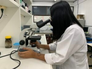 Jornada farmacêutica explora potencial da biodiversidade amazônica na saúde