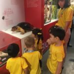 Férias com “Missão Diversão” em Manaus: Instituições promovem colônias criativas e lúdicas para o recesso escolar, abertas a alunos de todas as escolas