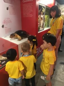 Férias com “Missão Diversão” em Manaus: Instituições promovem colônias criativas e lúdicas para o recesso escolar, abertas a alunos de todas as escolas