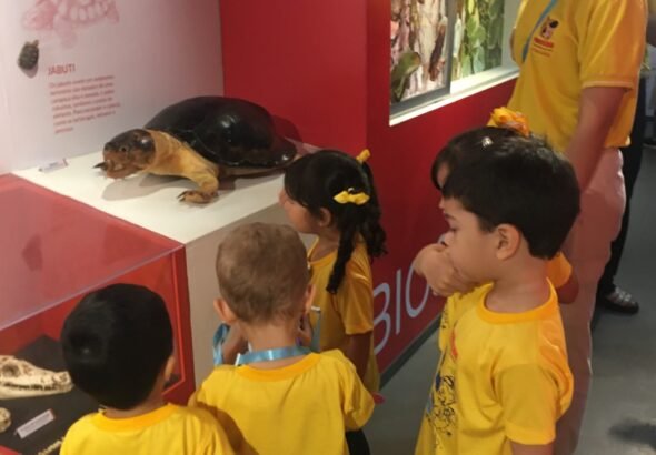 Férias com “Missão Diversão” em Manaus: Instituições promovem colônias criativas e lúdicas para o recesso escolar, abertas a alunos de todas as escolas